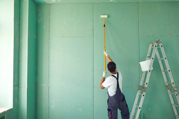 Professional Mold Removal in Clear Lake Shores, TX