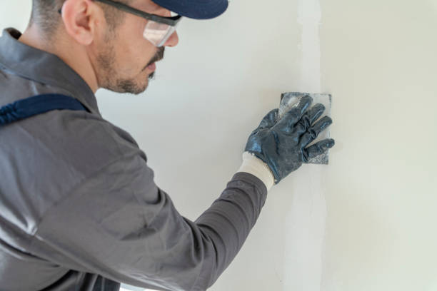 Best Industrial Mold Remediation  in Clear Lake Shores, TX