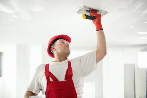 Best Real Estate Mold Inspection  in Clear Lake Shores, TX