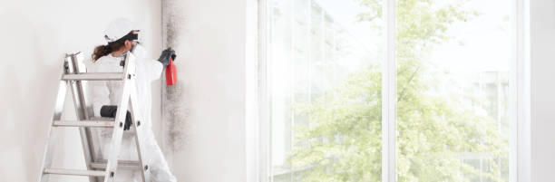 Best Mold-Related Health Consultation  in Clear Lake Shores, TX